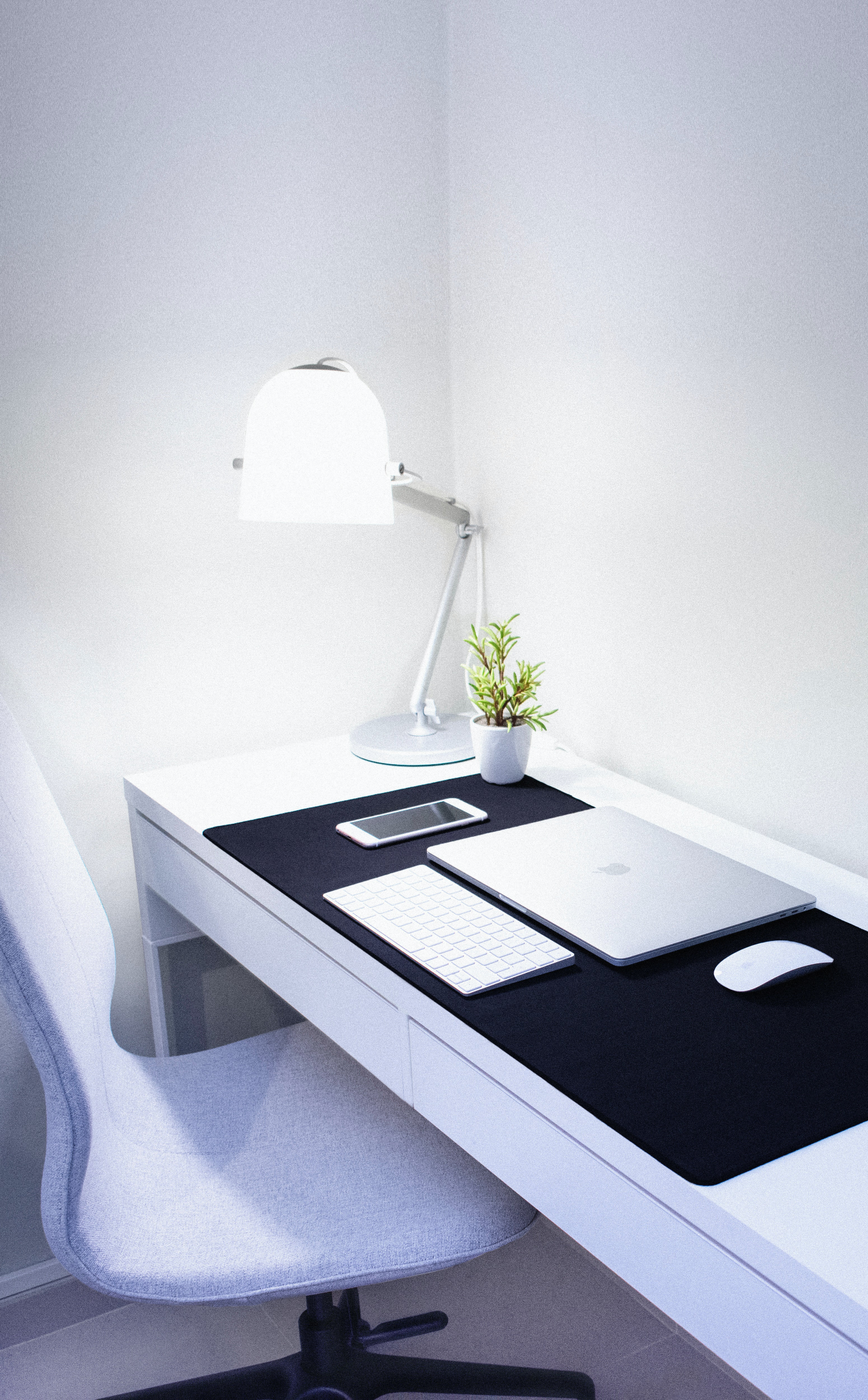 Bright desk with lamp, plant, large-screen phone, and designer notebook computer